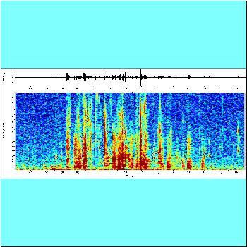 Doradid2_spectrogram.png